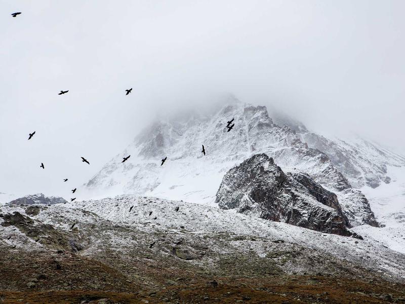 sudoku no mistakes screenshot 2